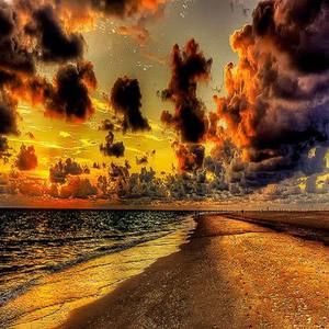 Meet your Posher, Amel